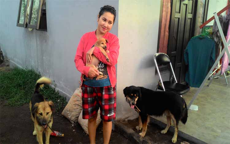 Warga bermain dengan anjing yang dirawat di Rumah Singgah Anjing Terlantar Palangka Raya