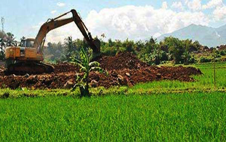 Kementerian Pertanian Berharap Daerah Tolak Alih Fungsi Lahan