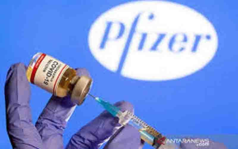 Botol kecil berlabel "vaksin virus corona COVID-19 dan logo perusahaan farmasi Pfizer. (File Photo : REUTERS/DADO RUVIC)