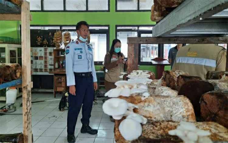 Kepala Rutan Kelas IIB Kuala Kapuas, Toni Aji Priyanto saat menunjukkan pembudidayaan jamur tiram