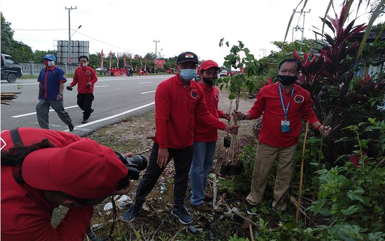  Ketua DPC PDI Perjuangan Kabupaten Katingan Sakriyas bersama anggota DPRD dari Fraksi PDI P Katingan menanam pohon memperingati HUT PDIP ke 48.