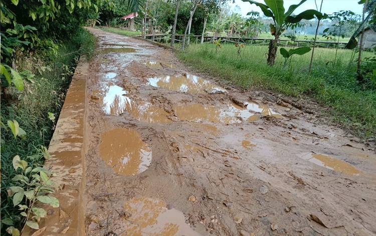 Jalan penghubung antara Desa Pinang Tunggal dan Desa Bararawa yang rusak.