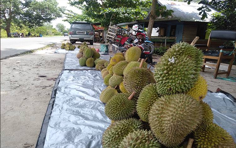 Penjual buah durian berjejer tepi Jalan Soekarno-Hatta Kasongan arah Tumbang Samba.