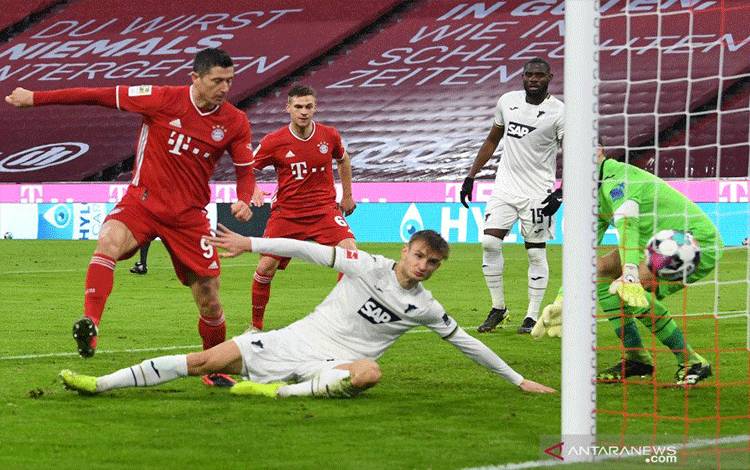 Penyerang Bayern Munich Robert Lewandowski (kiri) mencetak gol pada pertandingan Liga Jerman melawan Hoffenheim yang dimainkan di Allianz Arena, Munich, Sabtu (30/1/2021). (ANTARA/AFP/ANDREAS GEBERT)
