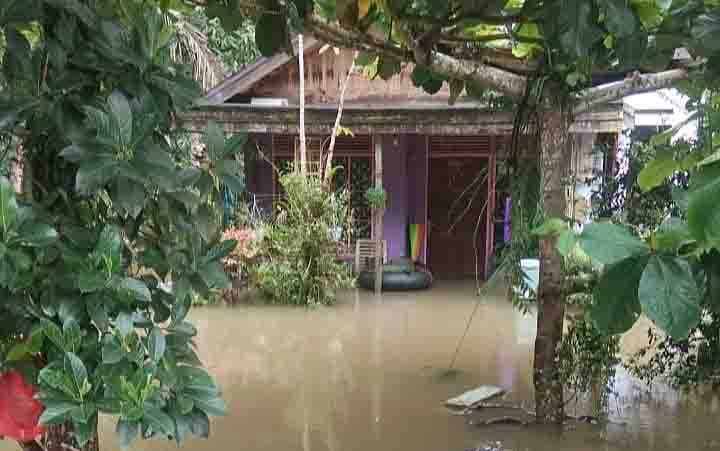 Rumah warga di Desa Bentot, Kecamatan Patangkep Tutui digenangi air akibat Sungai Patangkep meluap.