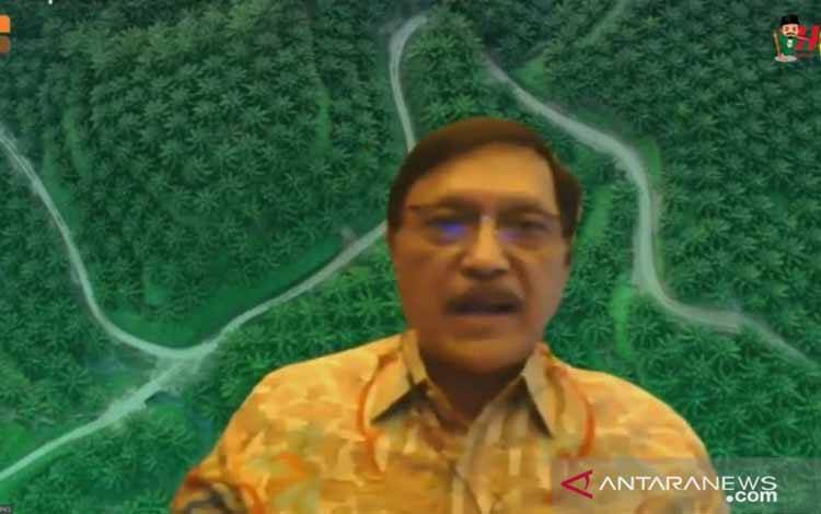 Direktur Utama Badan Pengelola Dana Perkebunan Kelapa Sawit (BPDPKS) Eddy Abdurrachman