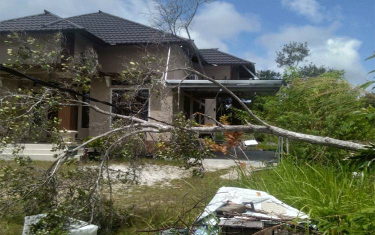 Cuaca ekstrem menyebabkan pohon tumbang di wilayah Kuala Kurun, Kabupaten Gunung Mas pada Jumat 19 Februari 2021 lalu.