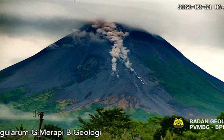Gunung Merapi mengeluarkan awan panas guguran dengan jarak luncur sampai 800 meter ke arah barat daya atau ke arah hulu Kali Krasak dan Boyong pada Rabu (24/2/2021) pagi. (BPPTKG)