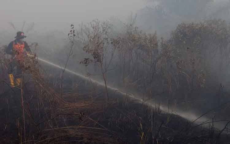 Upaya pemadaman lahan yang terbakar di sekitar Km 12 - 15 Jalan Pangkalan Bun - Kotawaringin Lama, Senin, 1 Maret 2021