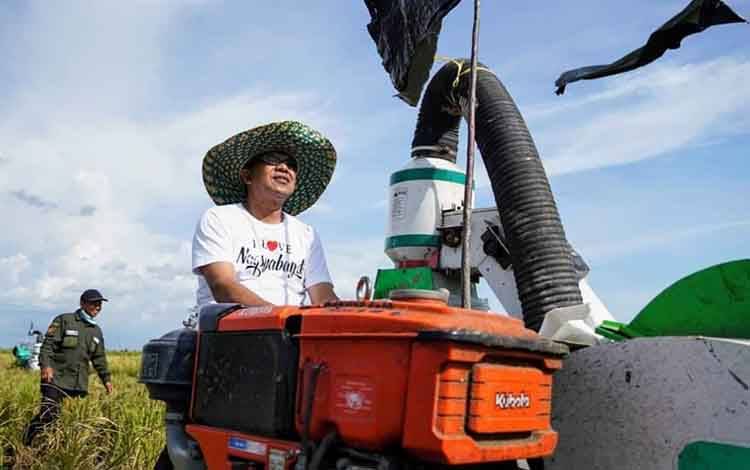 Wabup Sukamara, Ahmadi mengikuti panen padi di Desa Pulau Nibung, Kecamatan Jelai