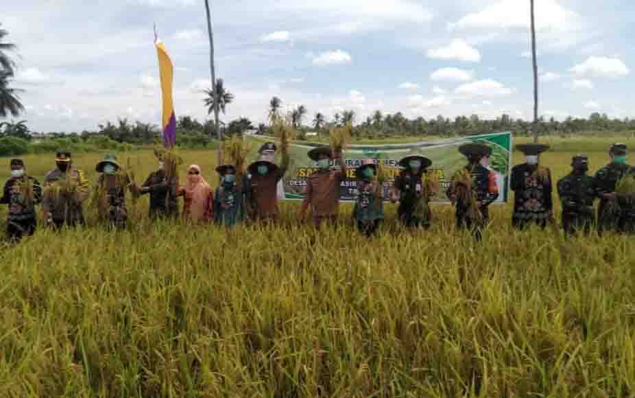 Bupati Sukamara, Windu Subagio saat menghadiri acara syukuran panen padi di sawah Beruntung Jaya.