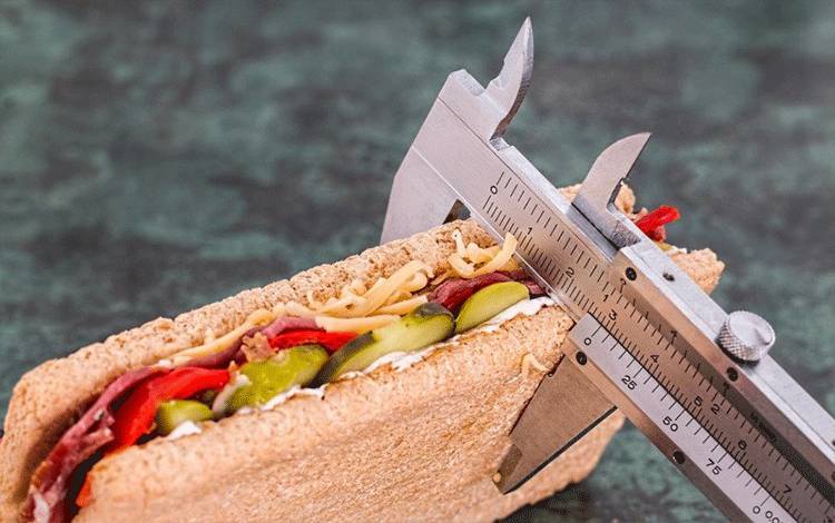 Ilustrasi pola diet ukur jumlah asupan kalori (Pixabay)
