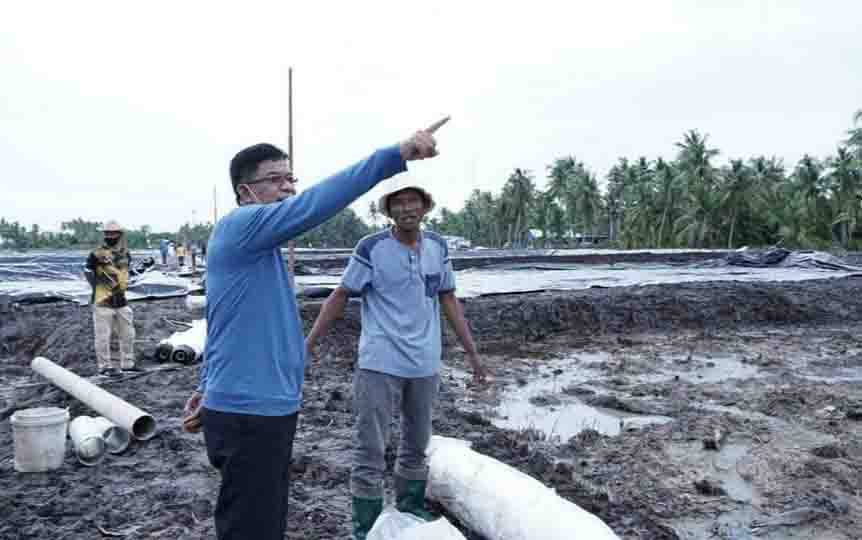 Wabup Sukamara, H Ahmadi saat meninjau pembangunan tabak udang vaname di Kecamatan Pantai Lunci beberapa waktu lalu. 