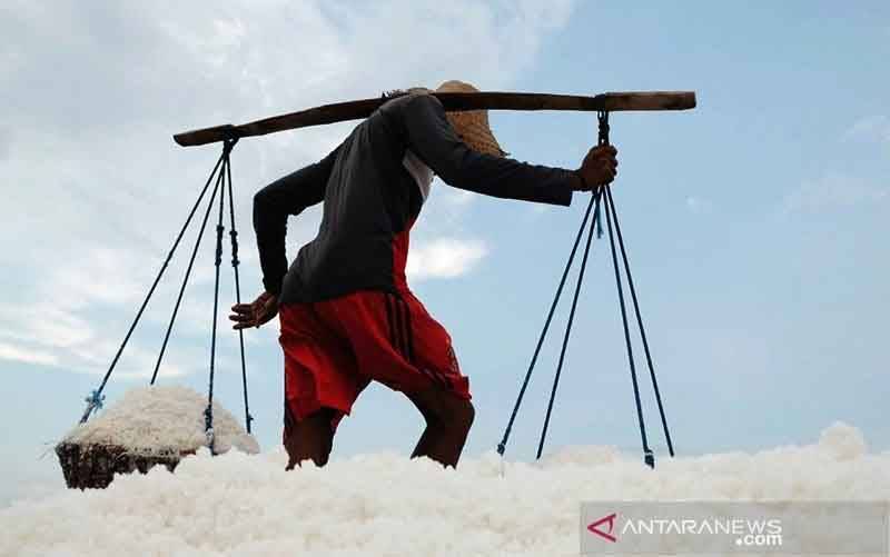 Aktivitas petambak garam. (foto : ANTARA/HO-KKP/am)