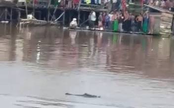 Foto : Tampak di seberang, warga berkumpul melihat seekor Buaya yang muncul di Sungai Arut Pangkalan Bun.