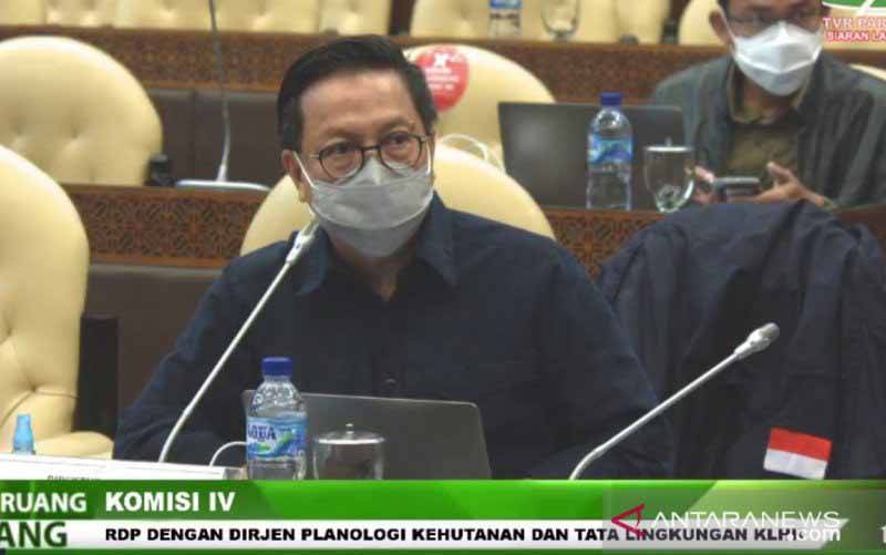 Direktur Jenderal Penegakan Hukum KLHK Rasio Ridho Sani dalam rapat dengar pendapat bersama Komisi IV DPR RI di Jakarta, Selasa (30/3/2021). Rapat tersebut membahas mengenai pengelolaan kawasan hutan. (foto : ANTARA/Tangkapan Layar Siaran DPR)