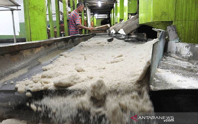 Ilustrasi pekerja memproduksi gula di PTPN XI Pabrik Gula (PG) Panji, Situbondo, Jawa Timur. ANTARA FOTO/Seno/aa.