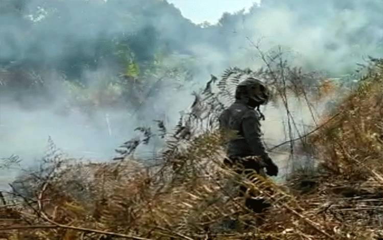 Tim pemadam berupaya memadamkan kobaran api yang membakar hutan antara Kecamatan Tasik Payawan dengan Kecamatan Kamipang.