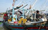 Ilustrasi - Kapal nelayan. Penerimaan PNBP sektor perikanan perlu dioptimalkan terutama untuk kesejahteraan masyarakat pesisir di Tanah Air. (foto : ANTARA/HO-KKP)