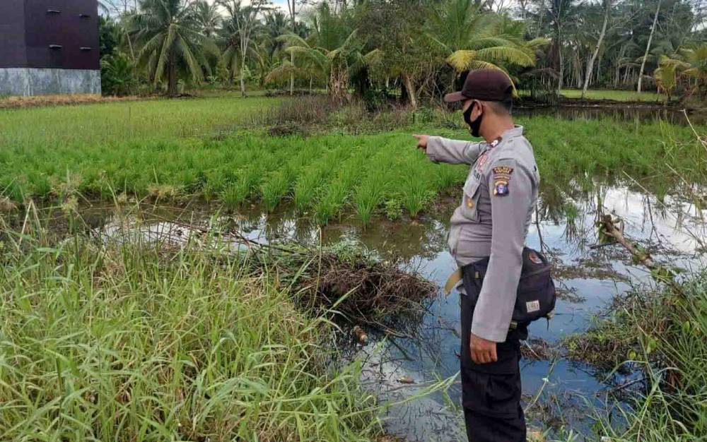 Personel Polsek Kapuas Kuala saat monitoring lahan pertanian warga di Desa Lupak Timur pada Selasa, 4 Mei 2021.