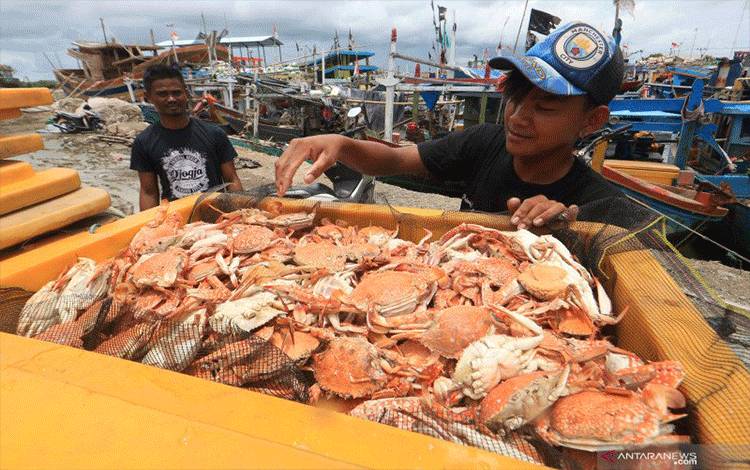 Ilustrasi: Nelayan mengumpulkan rajungan hasil tangkapan di Karangsong, Indramayu, Jawa Barat. Kementerian Kelautan dan Perikanan (KKP) menyatakan komoditas rajungan mampu memberikan kontribusi besar terhadap target ekspor produk perikanan 2020 sebesar 6,47 miliar dolar. ANTARA FOTO/Dedhez Anggara/pd.