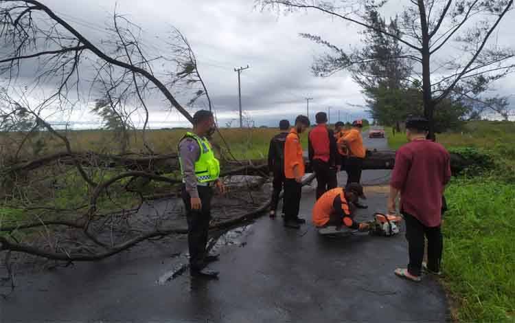 Pohon Tumbang Tutup Jalan Kuala Pembuang - Ujung Pandaran