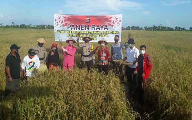 Kapolres Seruyan AKBP Bayu Wicaksono melaksanakan panen raya padi di Desa Persil Raya