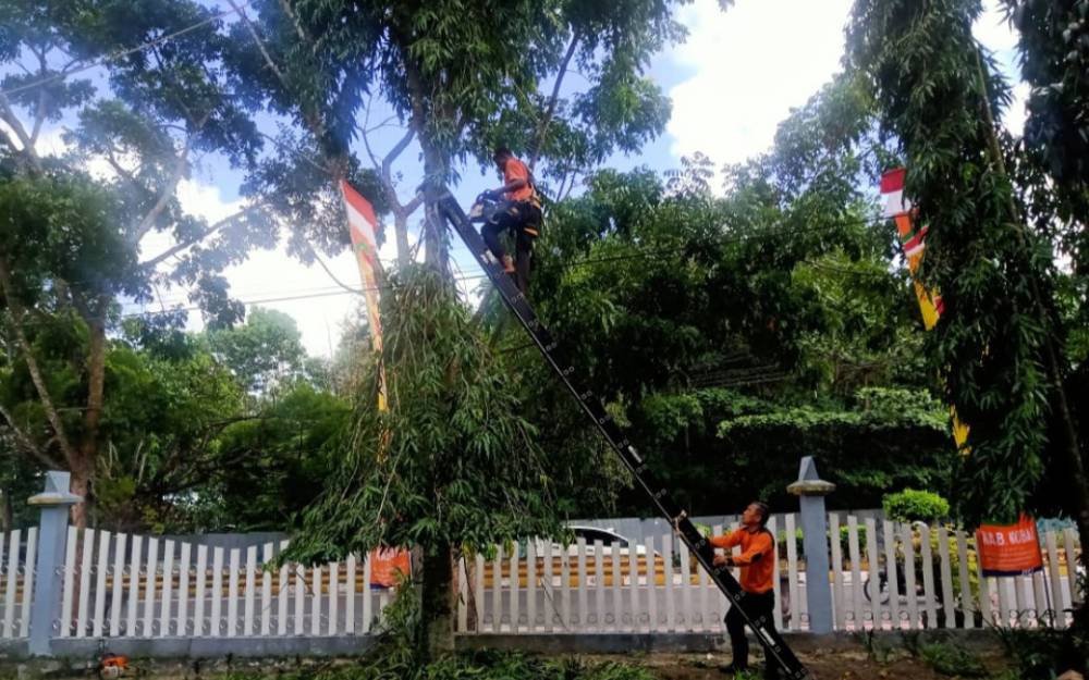Pemangkasan pohon yang dilakukan personel BPBD Kobar untuk mengantisipasi insiden saat cuaca ekstrem.