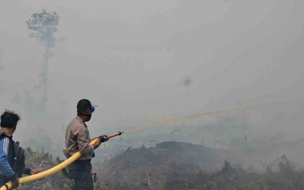 FOTO DOKUMEN -  Petugas sedang melakukan pemadaman kebakaran hutan dan lahan