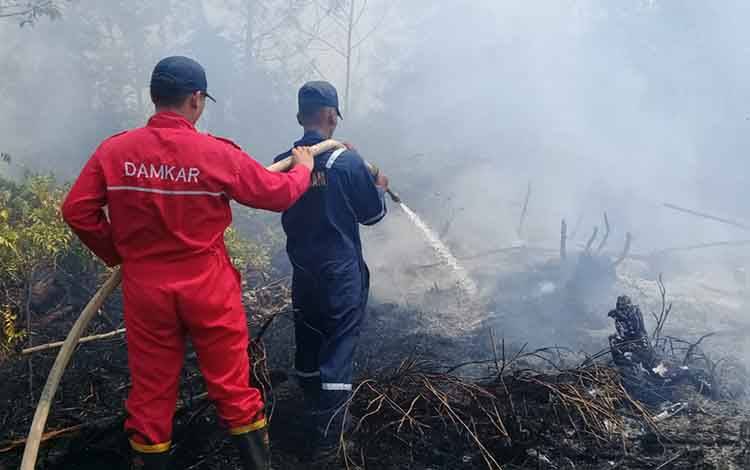 Petugas sedang memadamkan kebakaran hutan dan lahan (Karhutla) di Kalteng.