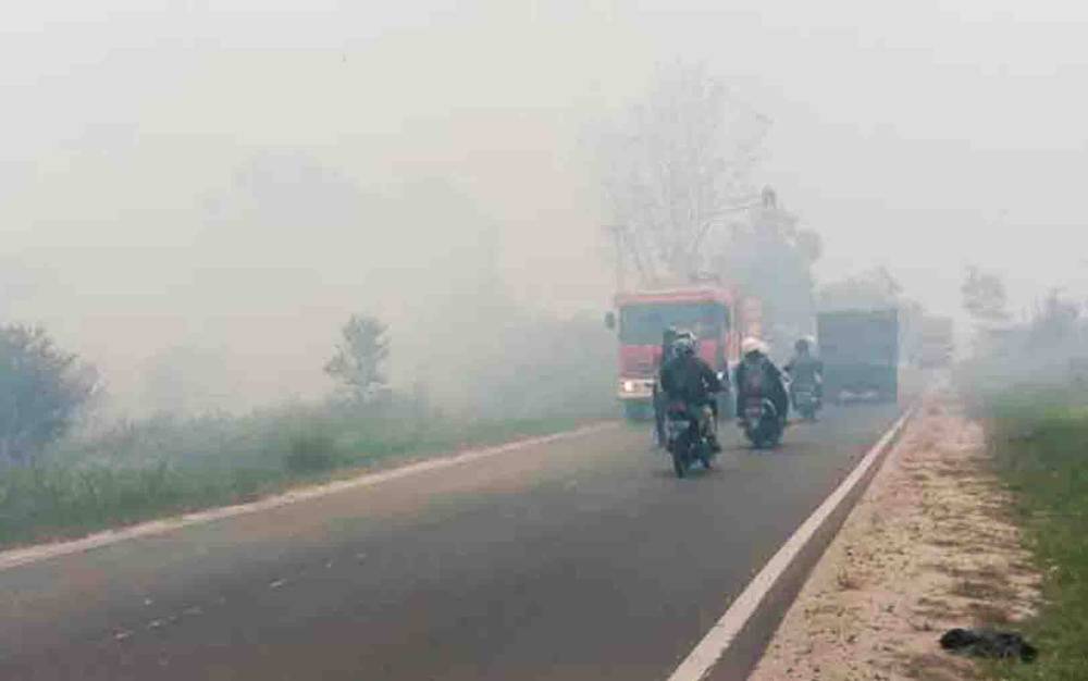 Kabut asap akibat Kebakaran di Kalteng pada 2019