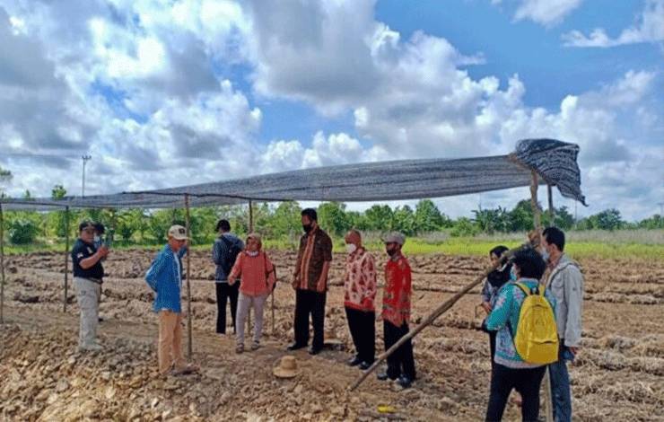 Plt kepala DKPPPBarsel Ida Safitri bersama jajaranya mengecek lokasi rencana pengembangan food estate di Desa Rantau Bahuang