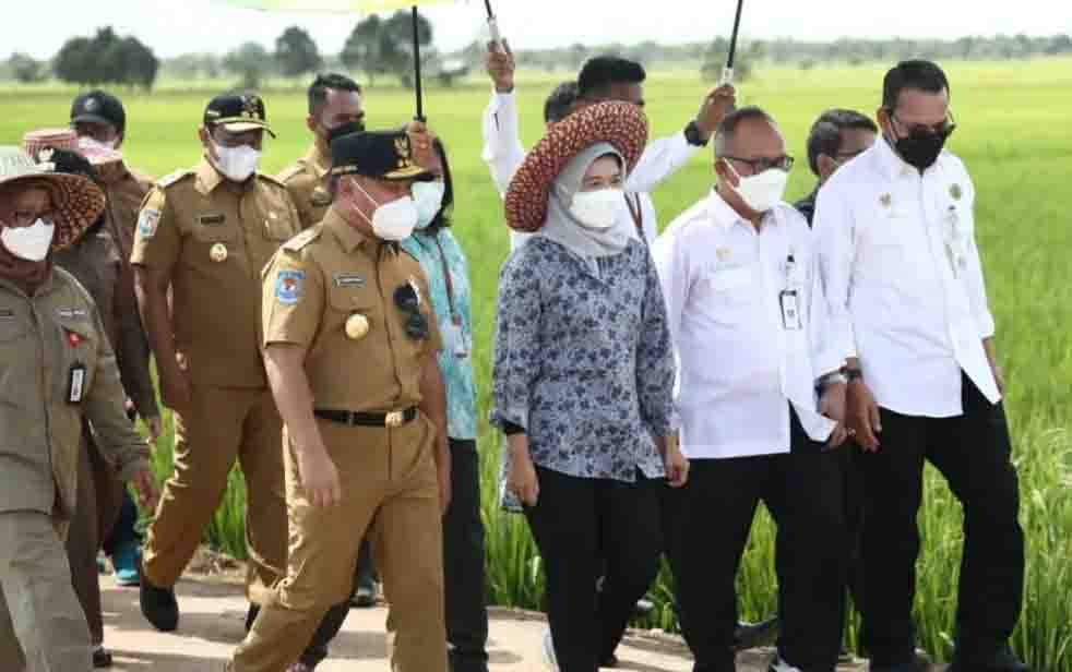 Gubernur Kalteng, Sugianto Sabran saat meninjau infrastruktur jalan di Desa Belanti Siam, Pulpis. Senin, 28 Juni 2021. (poto: istimewa)
