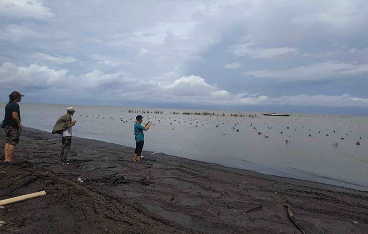 Pengecekan tanaman Mangrove di kawasan pesisir Pantai Siamuk Desa Sungai Undang
