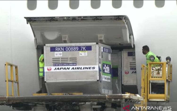 Petugas di Bandara Soekarno-Hatta Cengkareng, menurunkan box berisi vaksin COVID-19 AstraZeneca sumbangan negara Jepang dari bagasi pesawat di Tangerang, Banten, Kamis (1/7/2021)