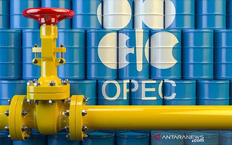 Ilustrasi - Keran pipa minyak dengan latar belakang simbol Organisasi Negara-negara Pengekspor Minyak (OPEC). ANTARA/Shutterstocks/pri.