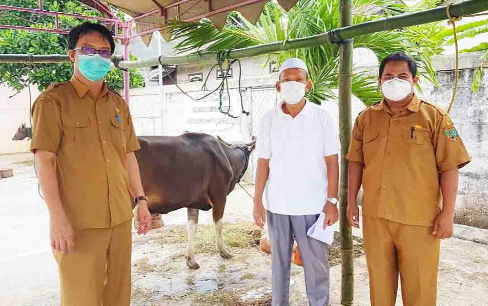 Kepala Dinas Perikanan dan Peternakan Barito Timur, Mishael saat memeriksa kesehatan hewan kurban di salah satu masjid wilayah setempat.