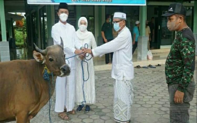 Dandim 1011 Kuala Kapuas, Letkol Inf Ary Bayu Saputro secara simbolis menyerahkan hewan kurban kepada panitia, Selasa, 20 Juli 2021