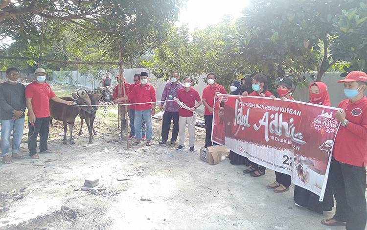 DPC PDI Perjuangan Kabupaten Katingan kurban 2 ekor sapi hari ini.
