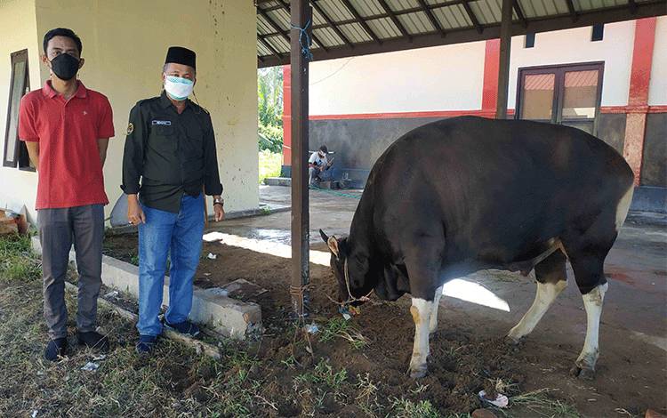 Kepala Kantor Pertanahan Seruyan Riduan, sebelum pelaksanaan penyembelihan sapi kurban di kantor setempat