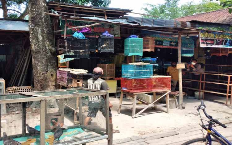 Salah satu pusat penjualan hewan di Sampit, Kotawaringin Timur