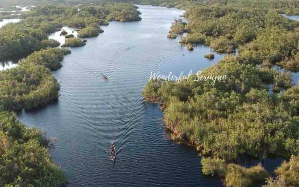 Keindahan Danau Sari Desa Sungai Bakau