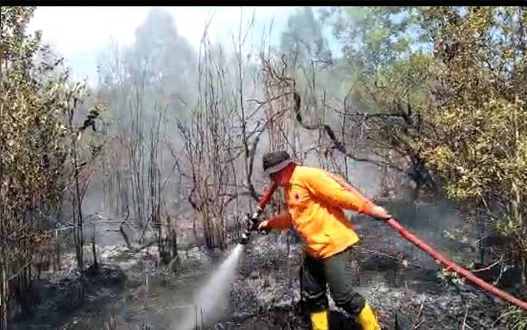 Petugas BPBD Kobar sedang memadamkan api yang membakar 6 hemtar lahan di Desa Sungai Bakau, Kecamatan Kumai, Selasa, 10 Agustus 2021