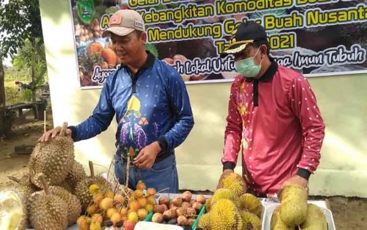 Bupati Sukamara, Windu Subagio saat melihat hasil panen buah durian montong di agrowisata.