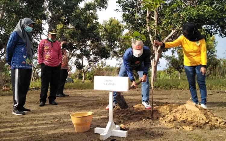 Bupati Sukamara, Windu Subagyo saat sedang menanam pohon ulin di kawasan Agrowisata.