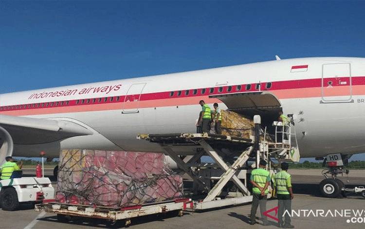 Petugas memuat manggis asal Sumbar ke pesawat di Bandara Internasional Minangkabau untuk diekspor ke Cina. (Antara/HO-Karantina Pertanian Padang)
