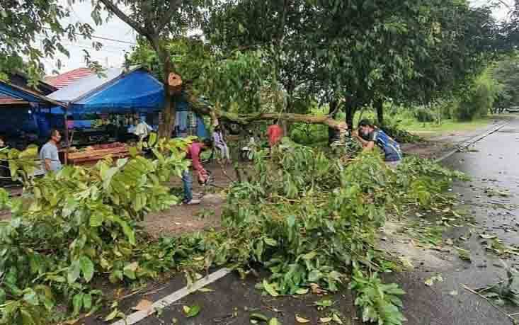 Warga membersihkan pohon tumbang di Palangka Raya.