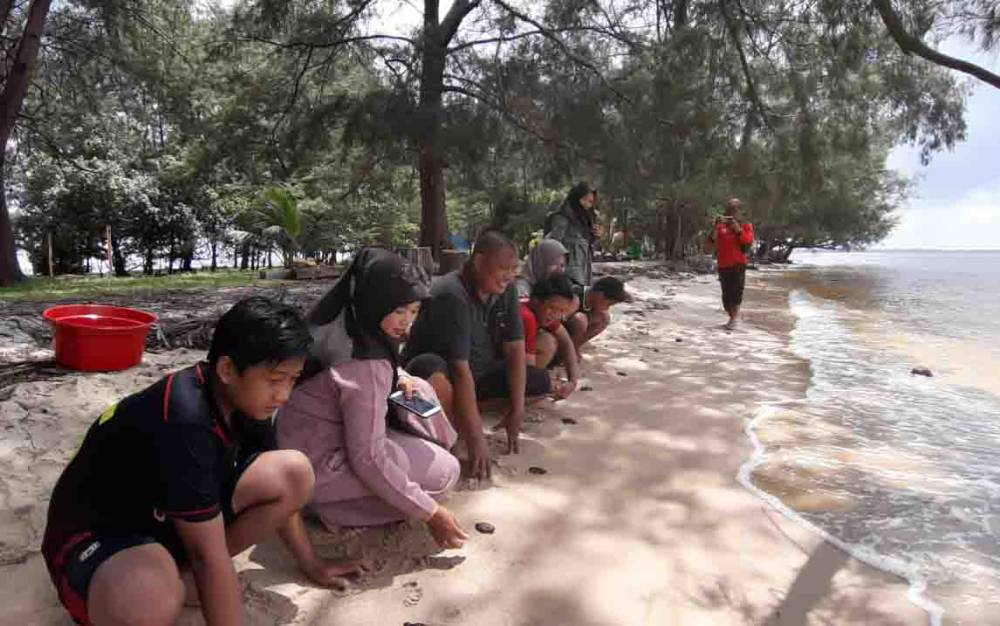 Wisatawan di TWA Tanjung Keluang didampingi petugas saat melepas tukik atau anak penyu sebelum pandemi covid-19 melanda.