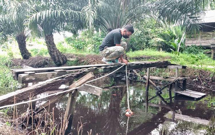 Petugas BKSDA memasang pancing buaya di Sungai Sapihan beberapa waktu lalu.
