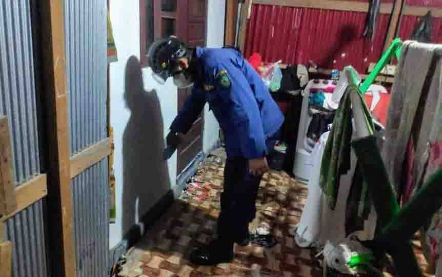 Petugas berupaya mencari kobra yang masuk rumah warga di Jalan Sinar Fajar Lingkar Kota Utara, Sampit, Kotawaringin Timur.